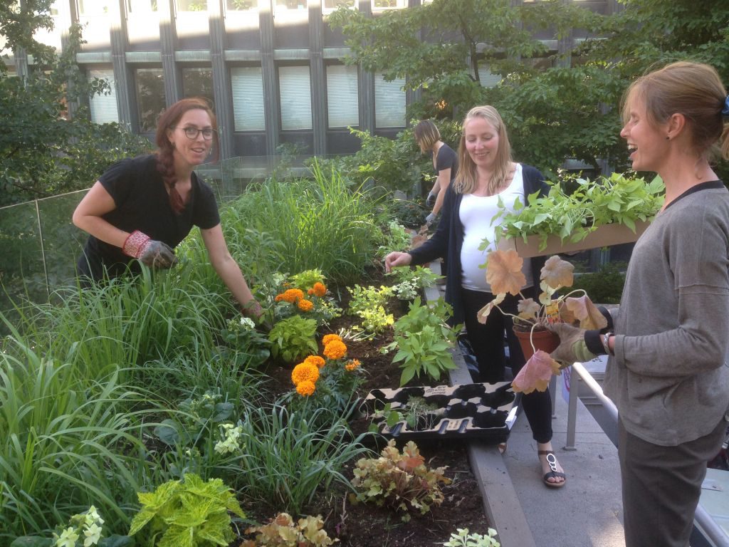 Full fart med plantering i rabatten.